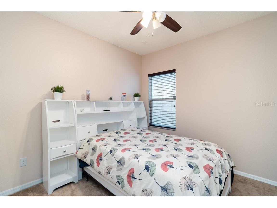 10903 Wildcat Drive Riverview FL 33579 TB8412190 image22