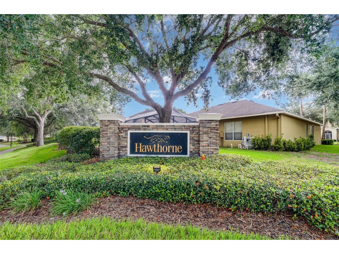 10903 Wildcat Drive Riverview FL 33579 TB8412190 image31