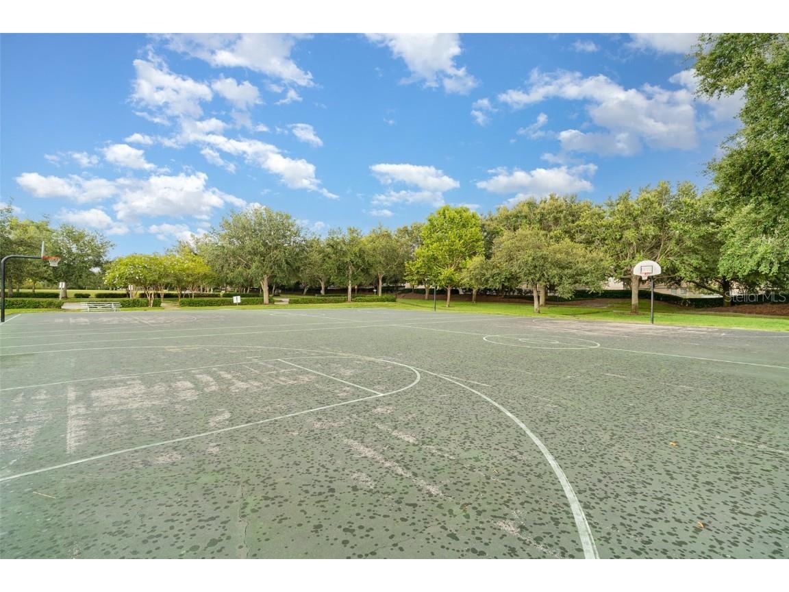 10903 Wildcat Drive Riverview FL 33579 TB8412190 image42