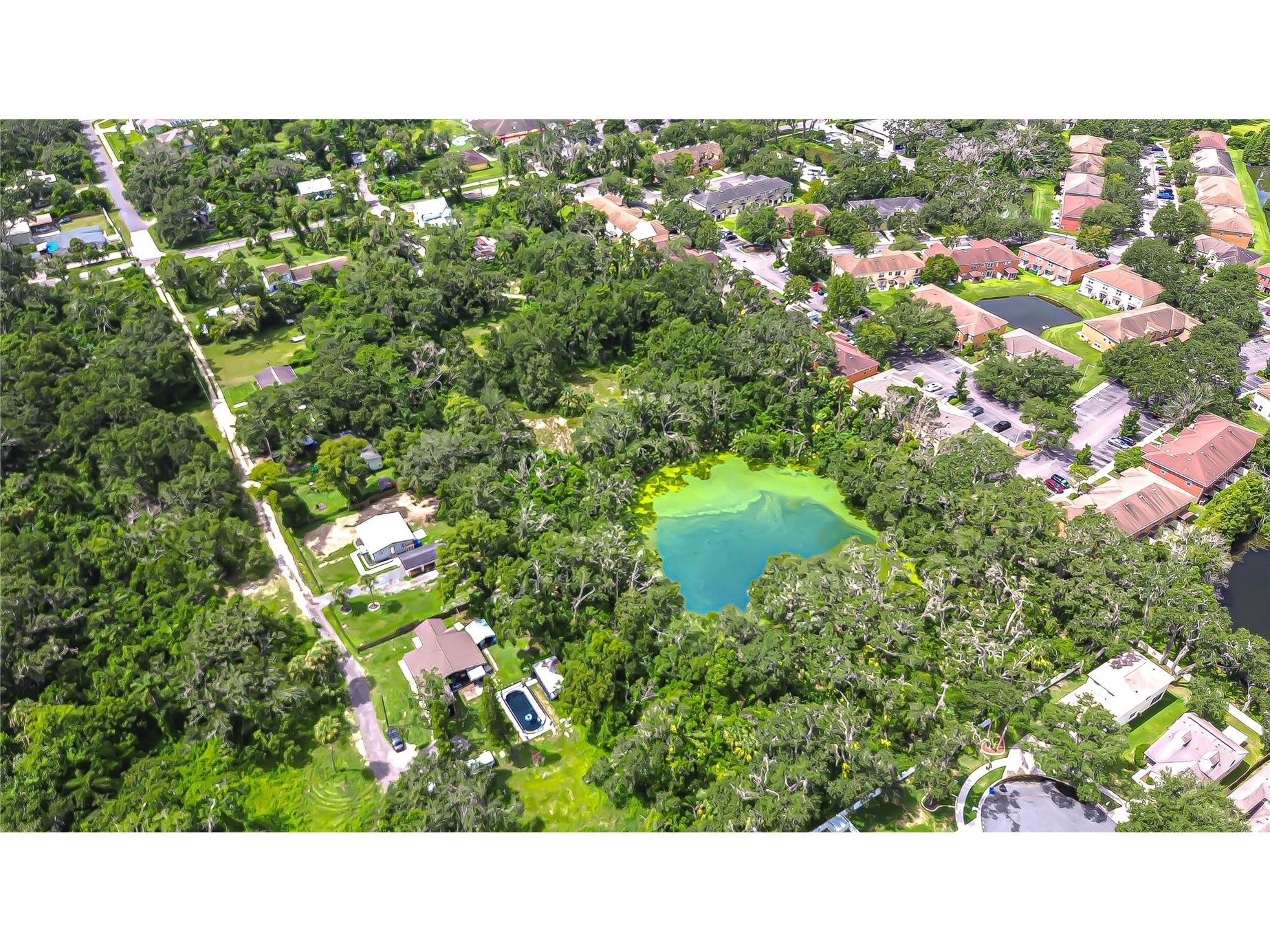 10904 Hackney Drive Riverview FL 33578 TB8486547 image13