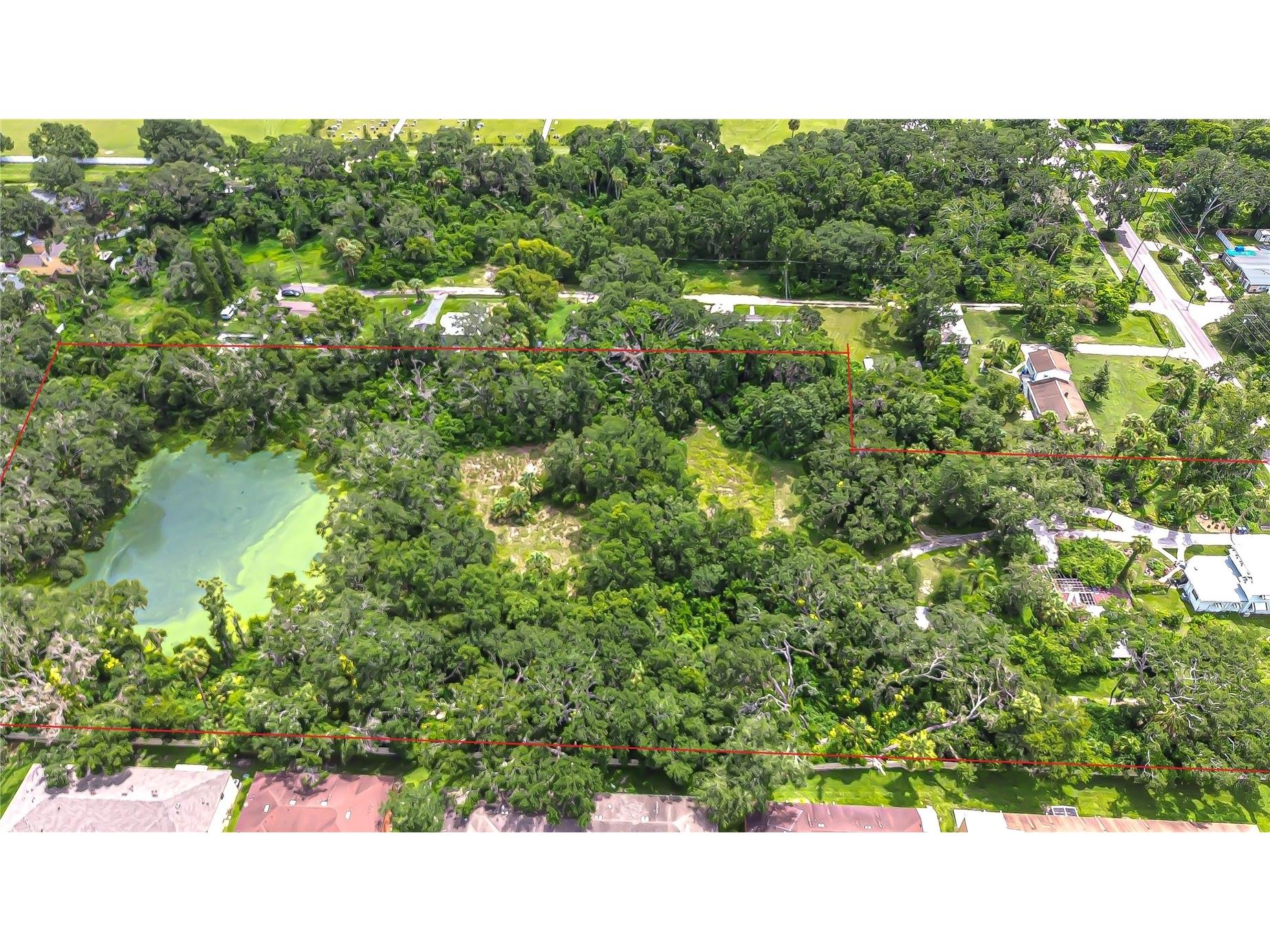 10904 Hackney Drive Riverview FL 33578 TB8486547 image3