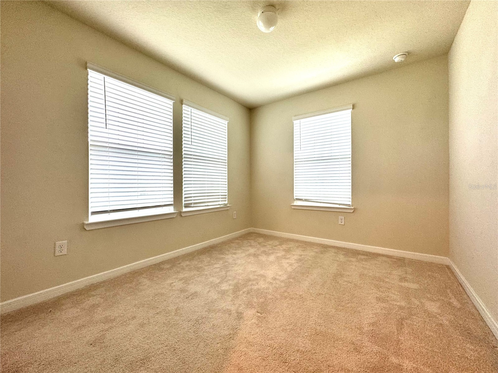 10904 Leafshore Loop Orlando FL 32829 O6372675 image10