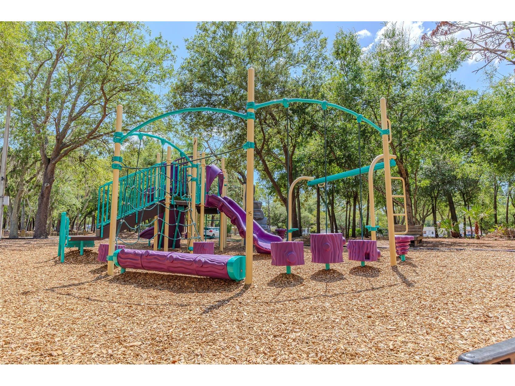10904 N 15th Street Tampa FL 33612 TB8501716 image29