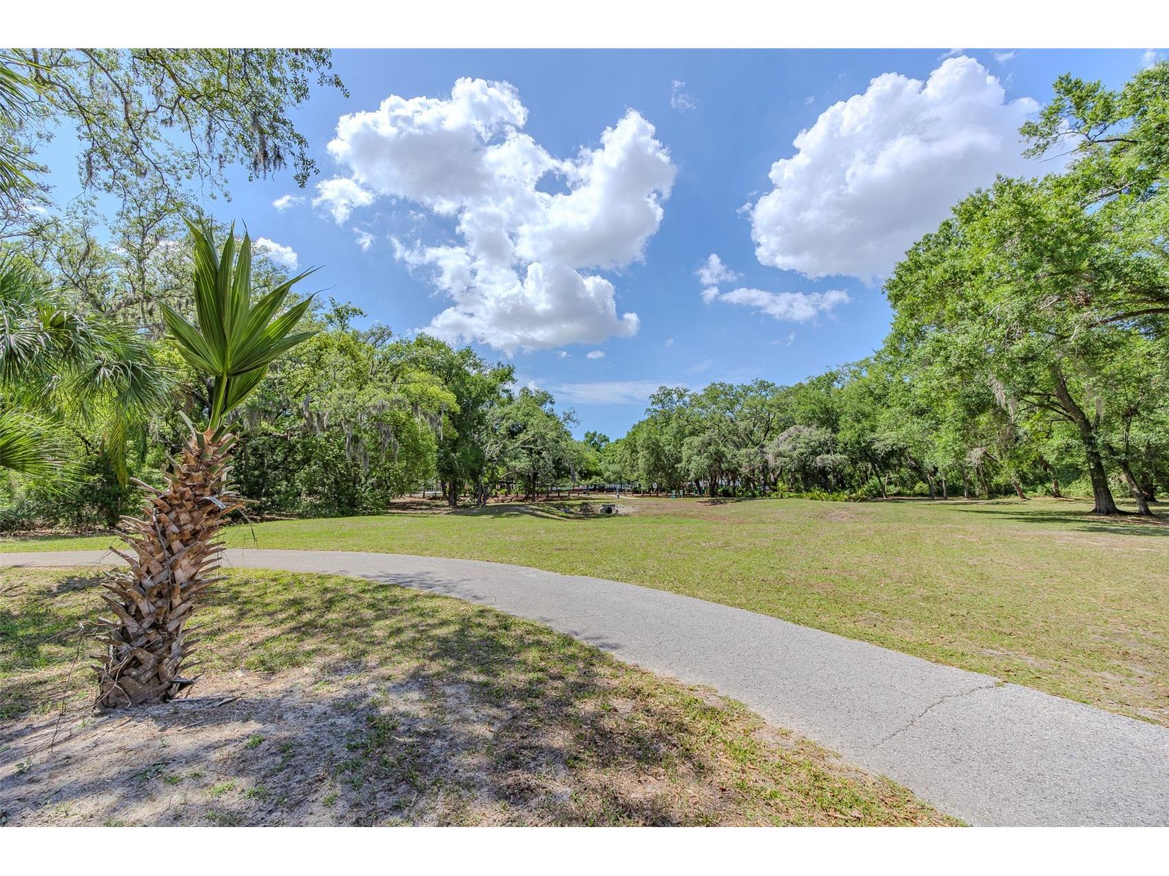 10904 N 15th Street Tampa FL 33612 TB8501716 image30