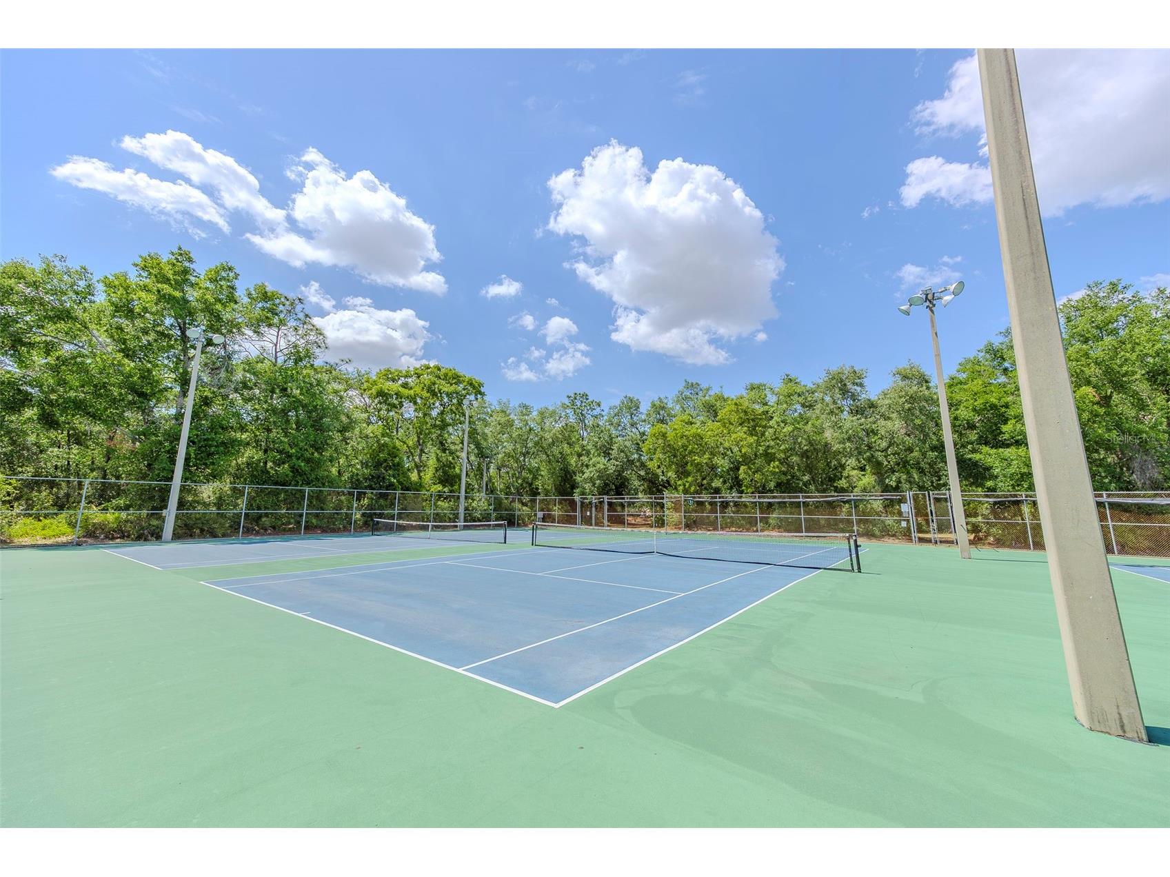 10904 N 15th Street Tampa FL 33612 TB8501716 image31