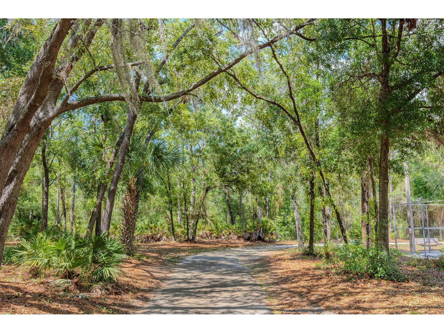 10904 N 15th Street Tampa FL 33612 TB8501716 image32