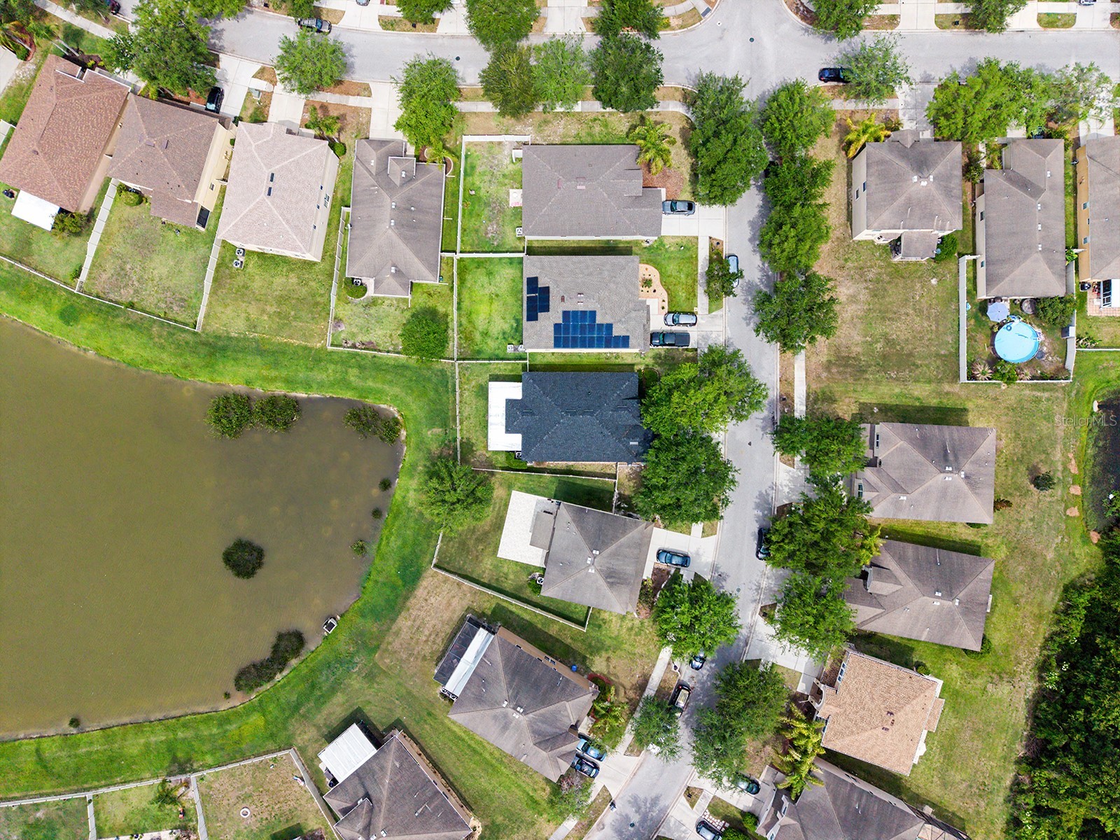 10905 Ancient Futures Drive Tampa FL 33647 TB8499502 image44