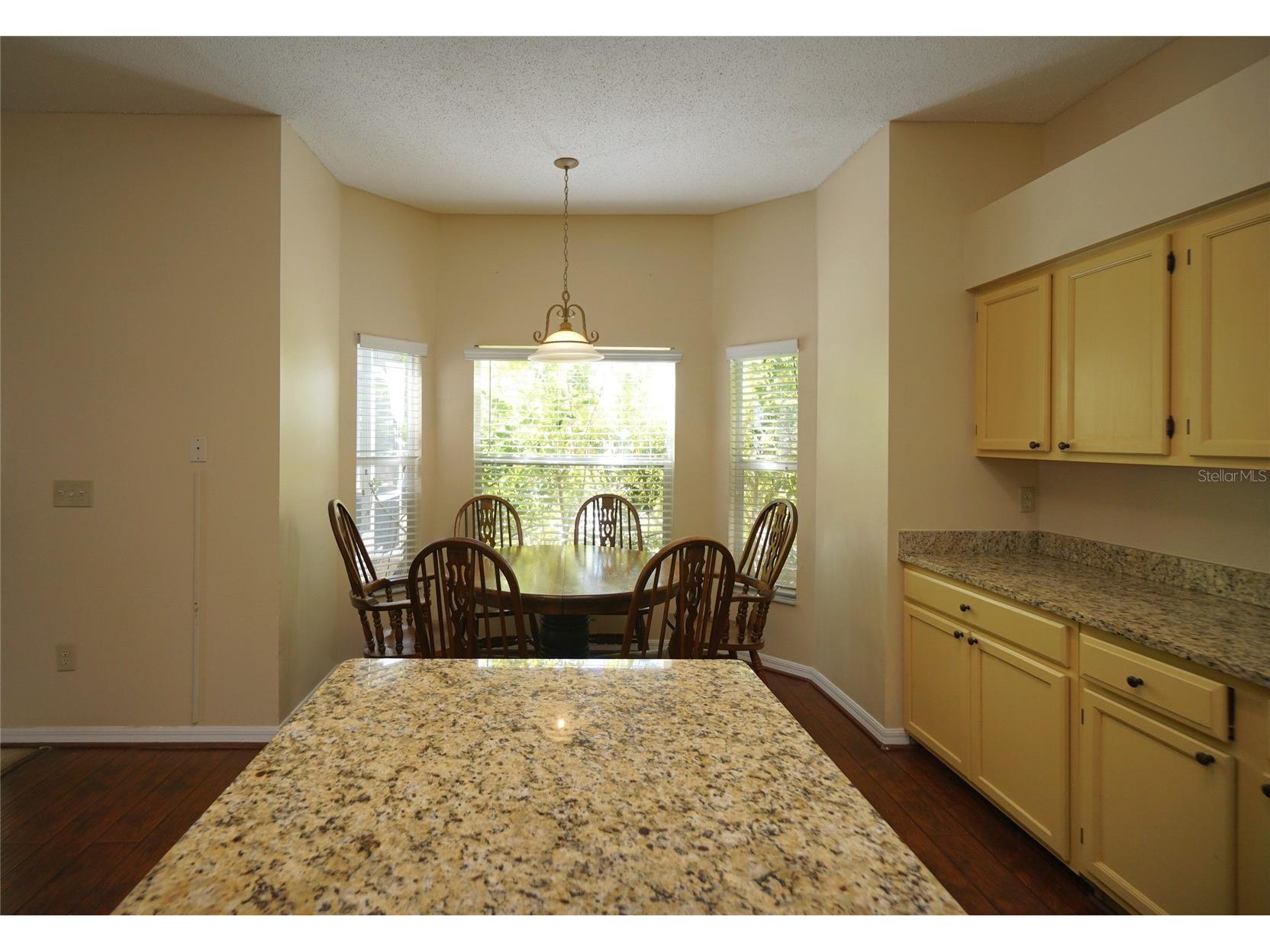 10905 Capstan Lake Drive Riverview FL 33579 TB8480538 image4