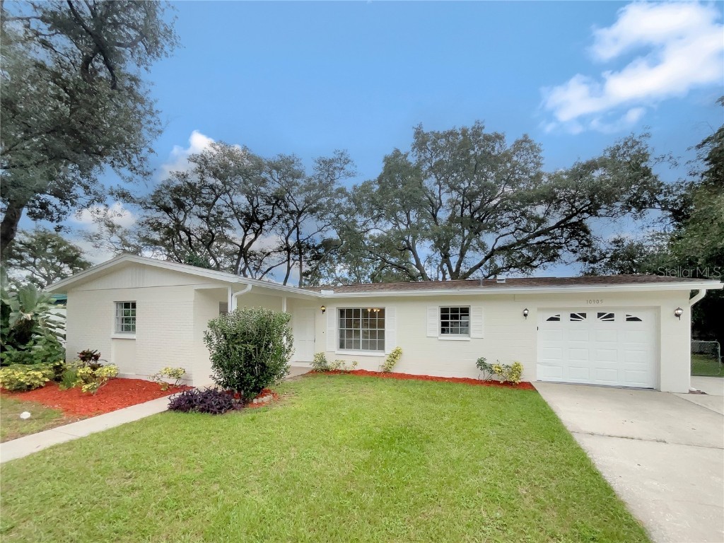 10905 N 21st Street Tampa FL 33612 O6232606 image1