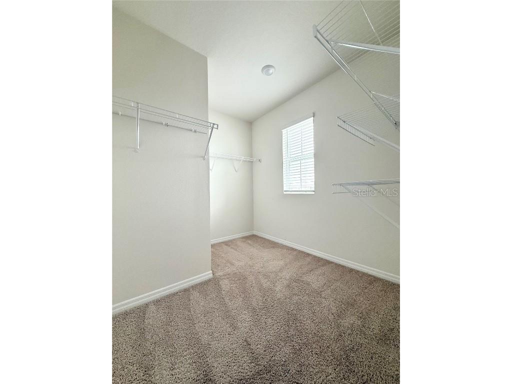 10905 Penny Gale Loop San Antonio FL 33576 TB8461806 image12