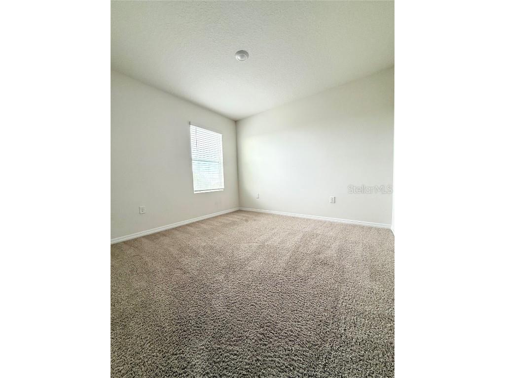 10905 Penny Gale Loop San Antonio FL 33576 TB8461806 image17