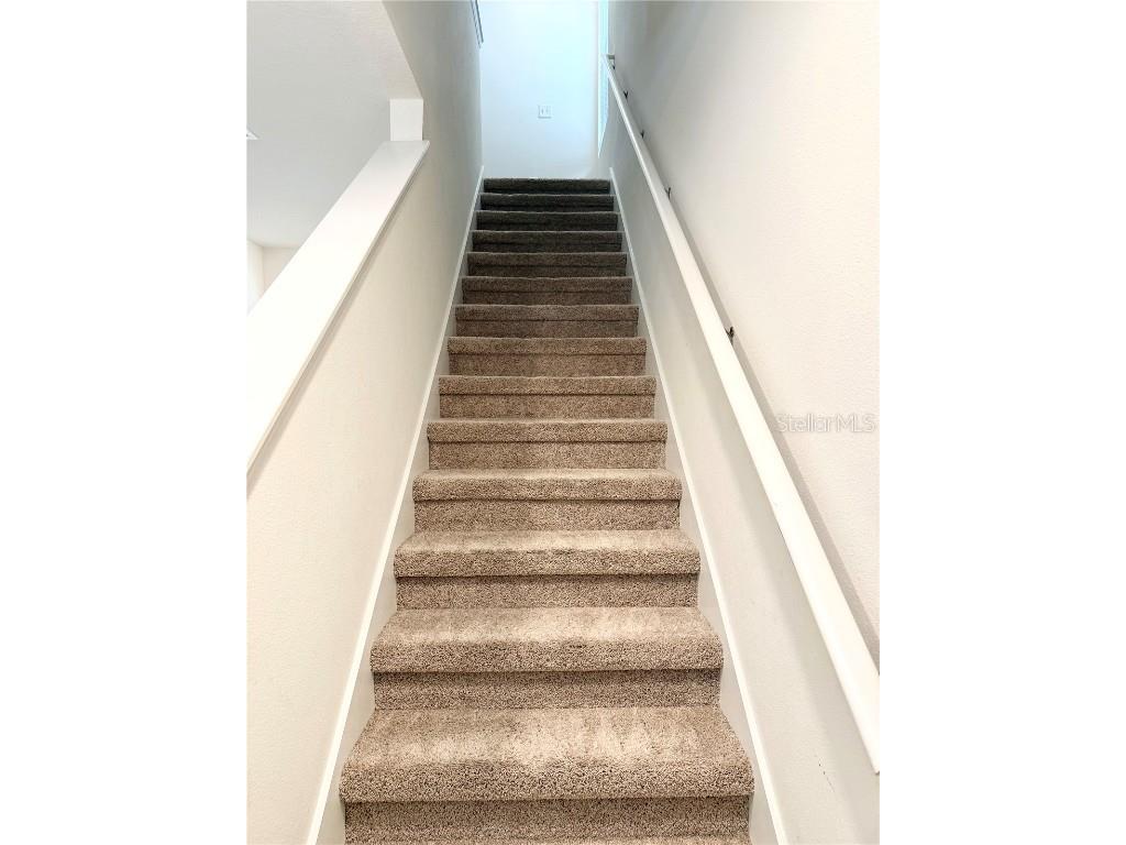 10905 Penny Gale Loop San Antonio FL 33576 TB8461806 image9