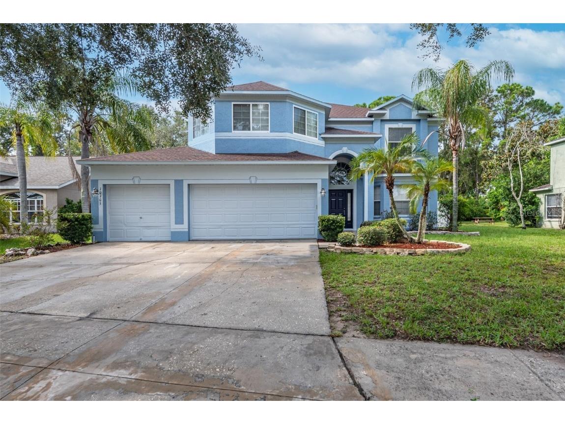 10905 Summerton Drive Riverview FL 33579 T3467315 image1
