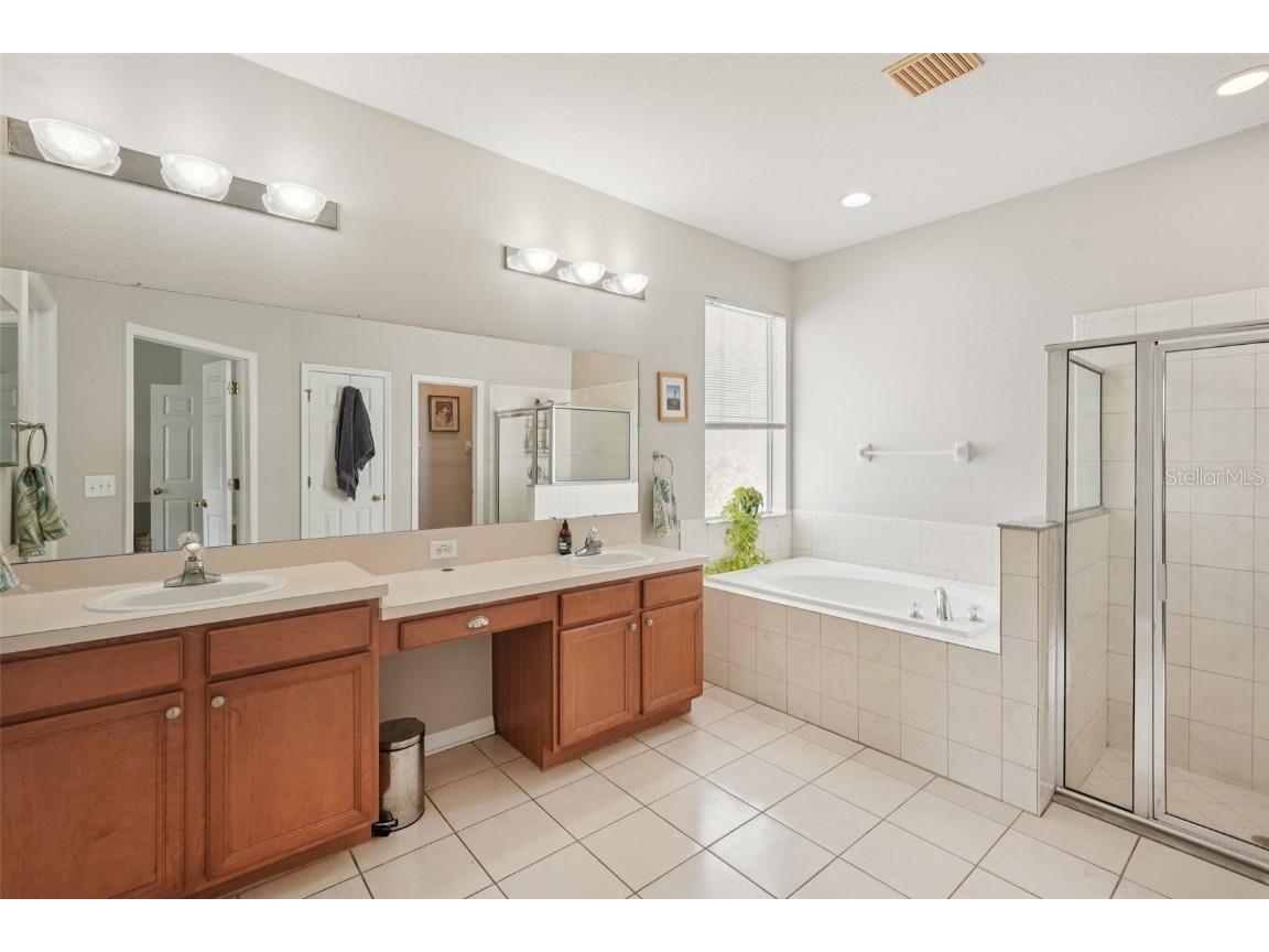 10905 Wildcat Drive Riverview FL 33579 TB8393986 image21