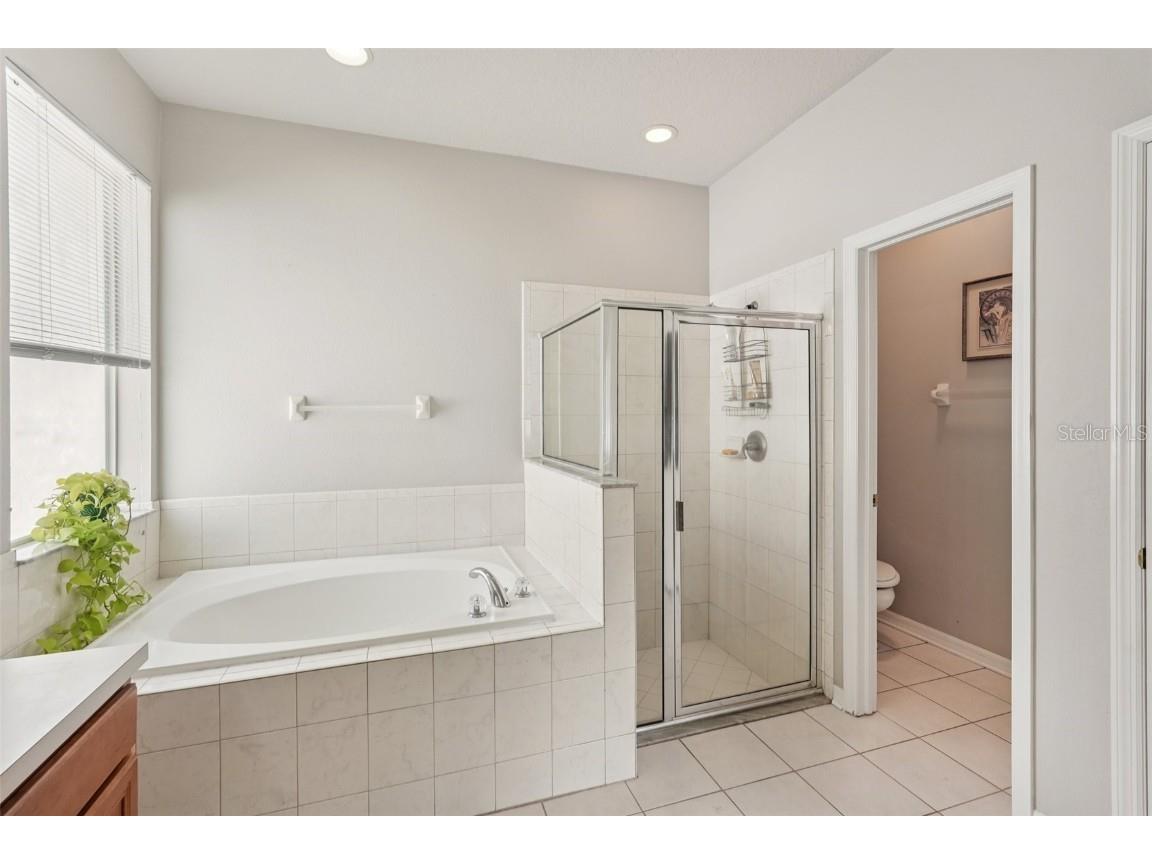 10905 Wildcat Drive Riverview FL 33579 TB8393986 image22