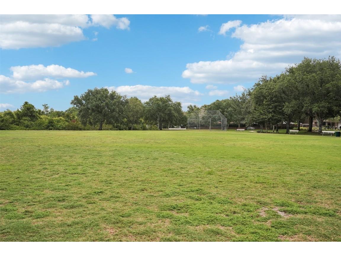 10905 Wildcat Drive Riverview FL 33579 TB8393986 image33