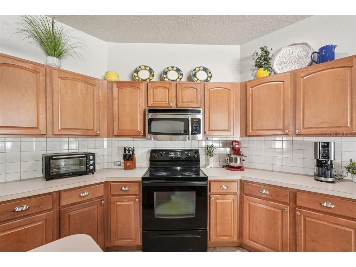 10905 Wildcat Drive Riverview FL 33579 TB8393986 image7