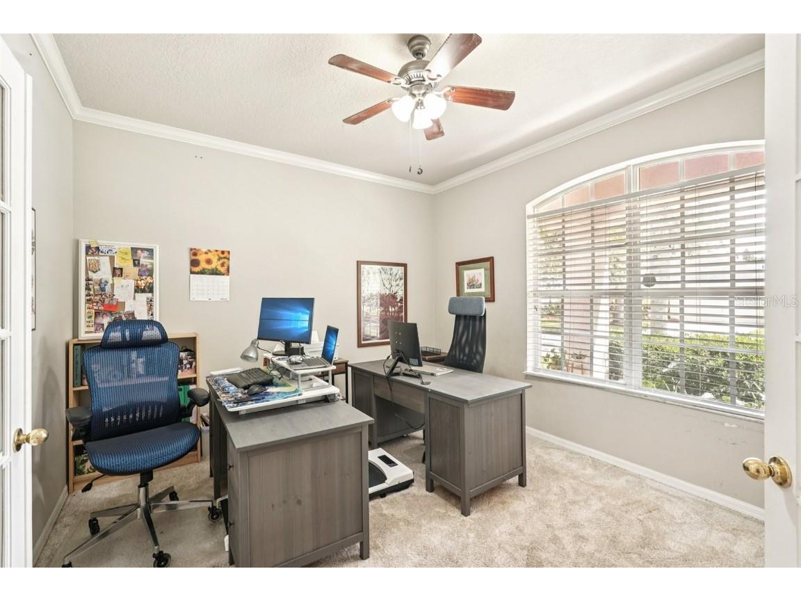 10905 Wildcat Drive Riverview FL 33579 TB8393986 image9