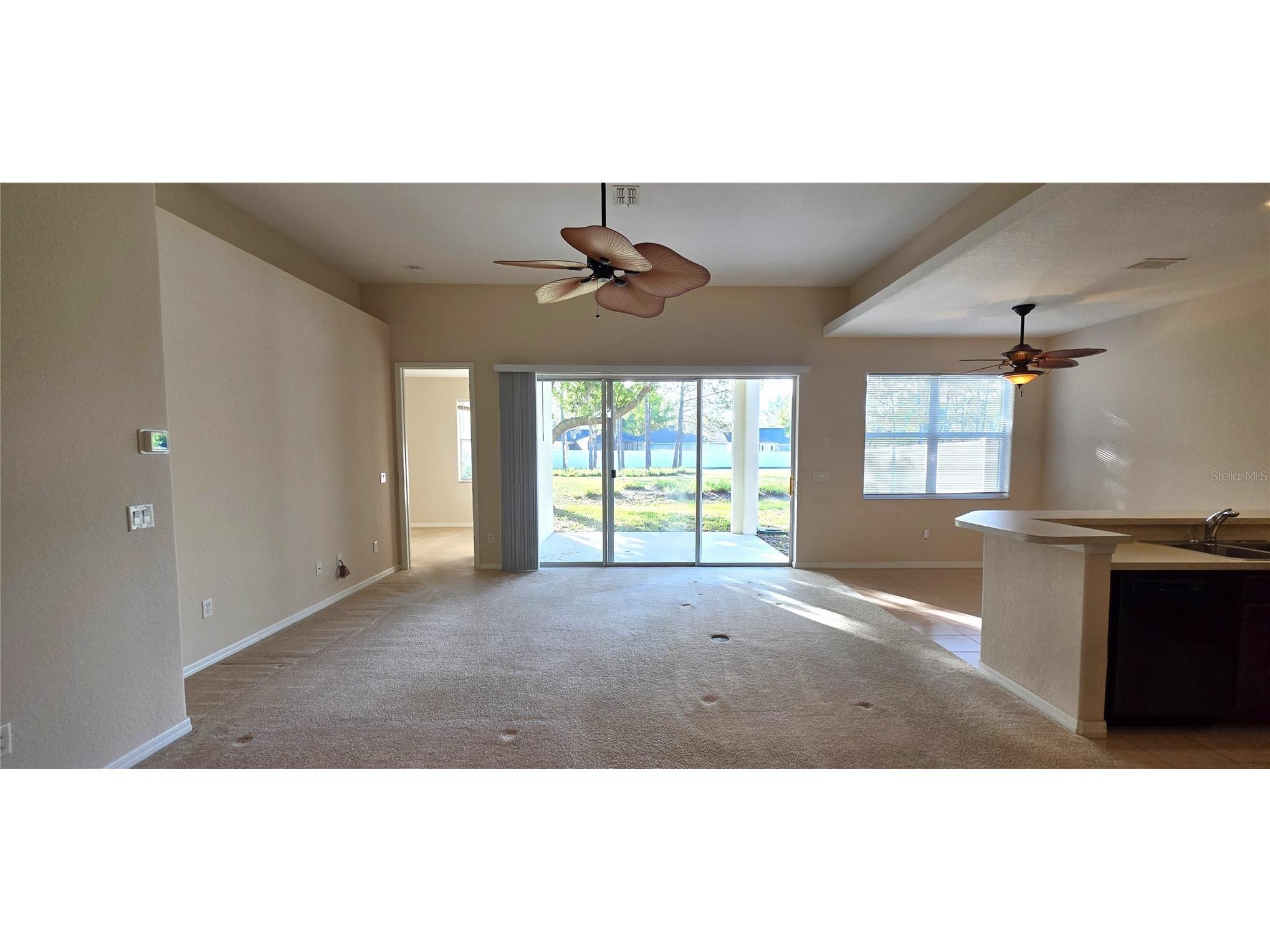 10906 Tree Cactus Loop Land O Lakes FL 34638 TB8493541 image10