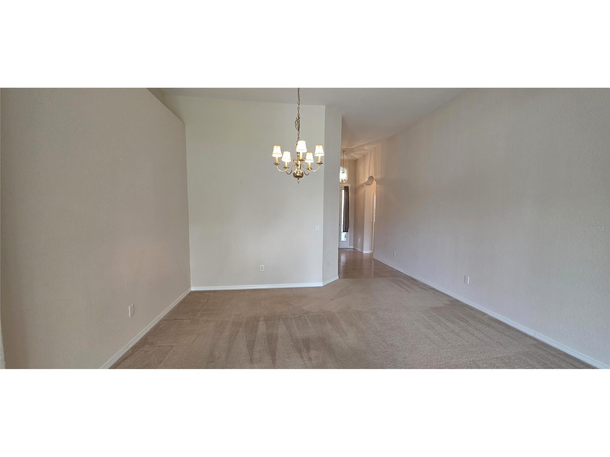 10906 Tree Cactus Loop Land O Lakes FL 34638 TB8493541 image12