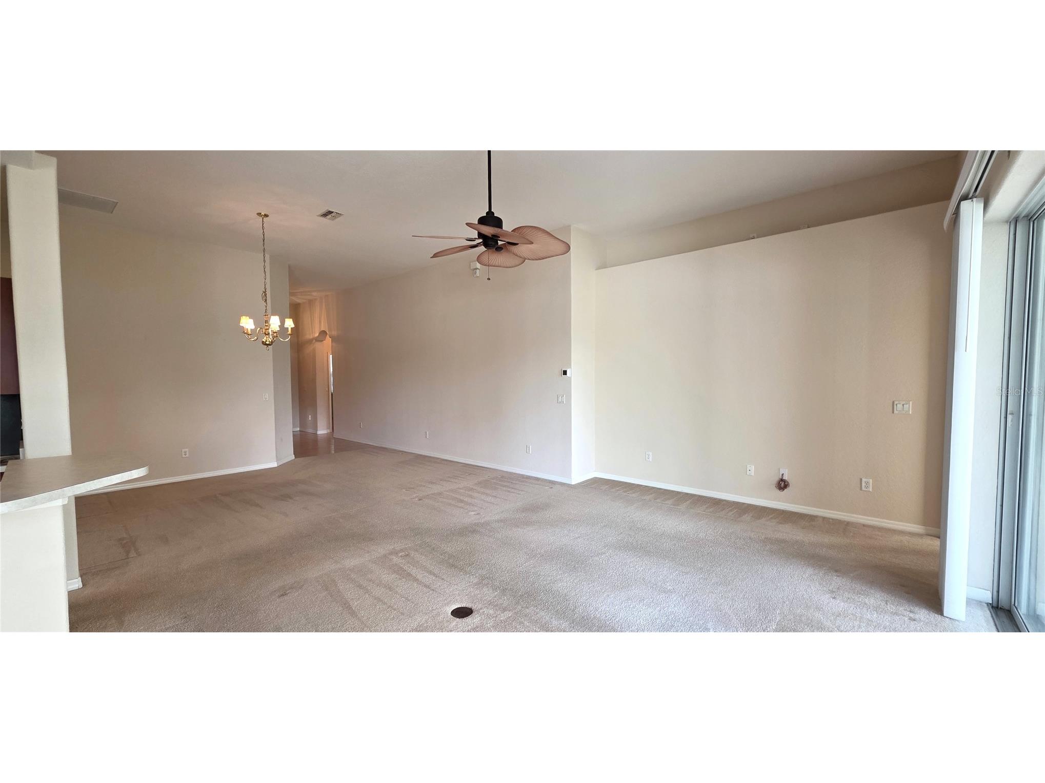 10906 Tree Cactus Loop Land O Lakes FL 34638 TB8493541 image14