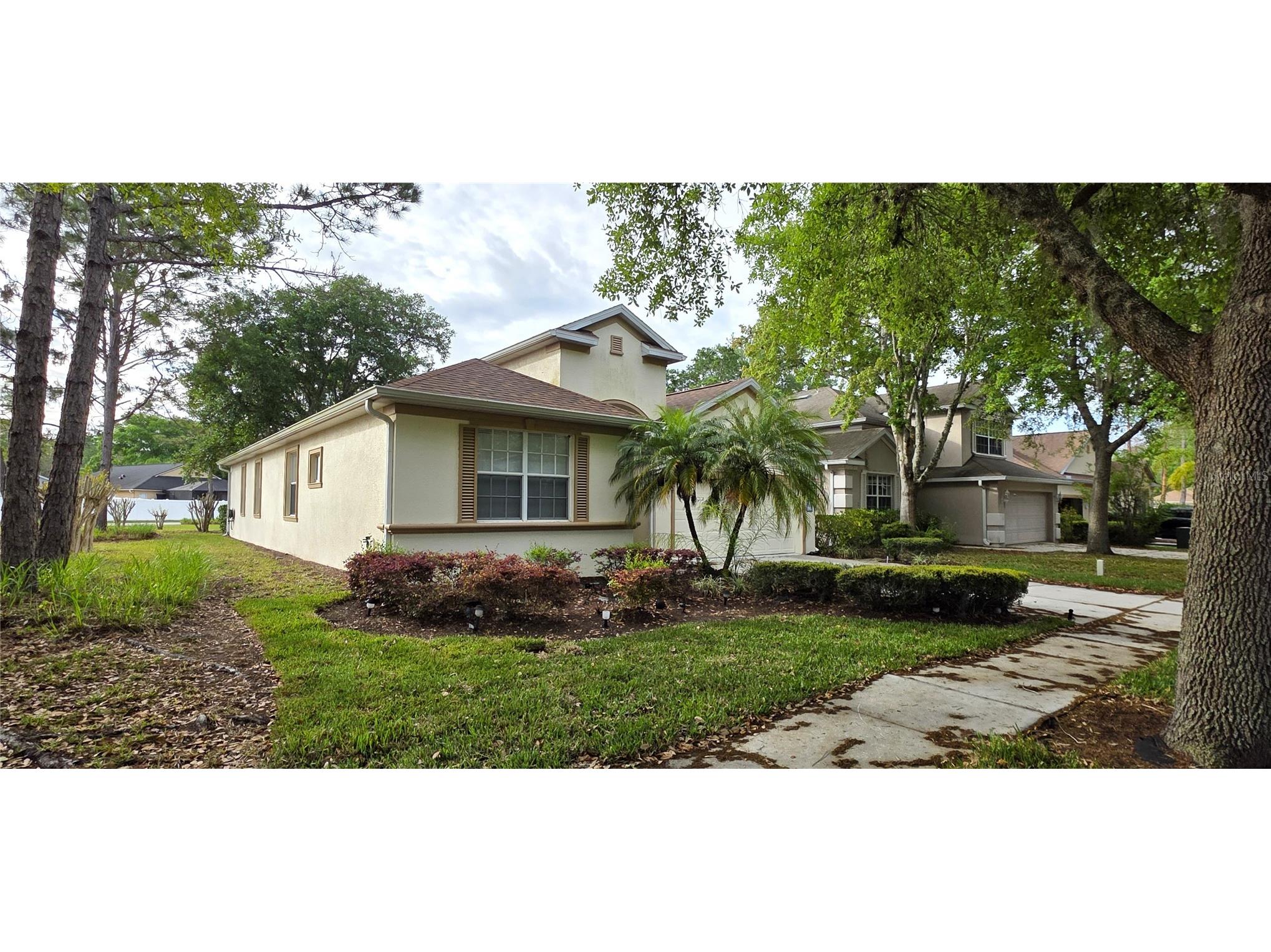10906 Tree Cactus Loop Land O Lakes FL 34638 TB8493541 image2