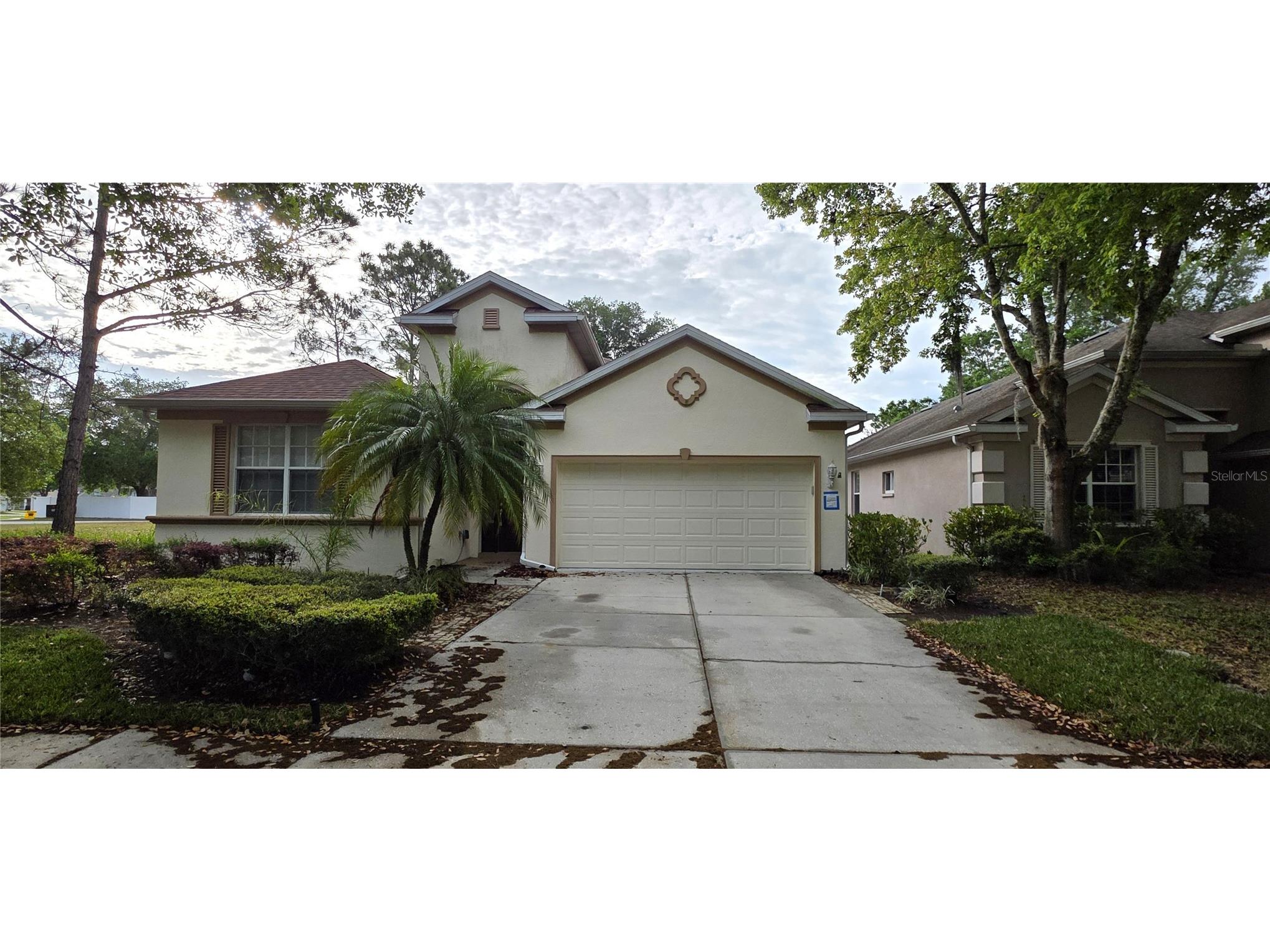 10906 Tree Cactus Loop Land O Lakes FL 34638 TB8493541 image3