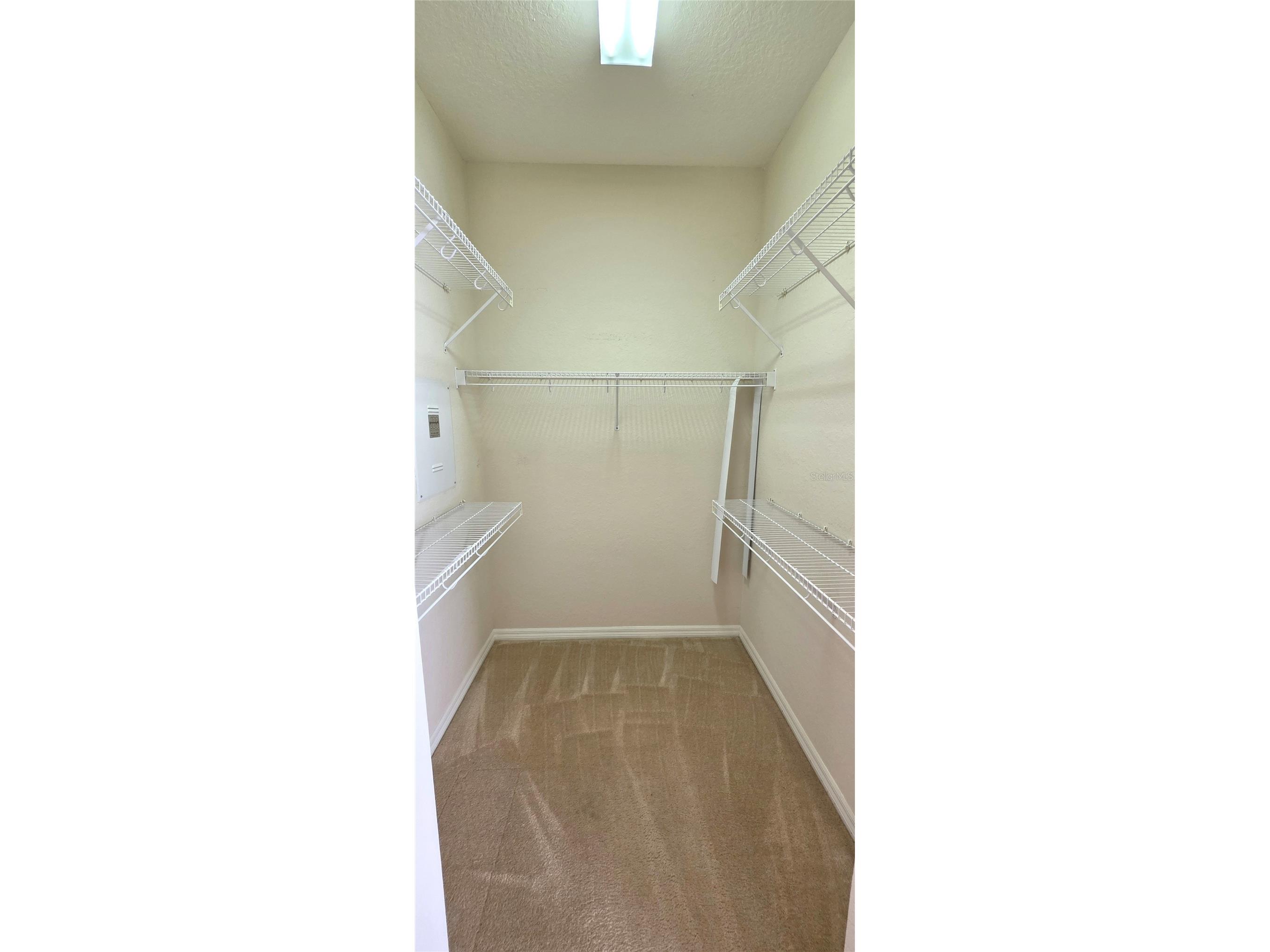 10906 Tree Cactus Loop Land O Lakes FL 34638 TB8493541 image33