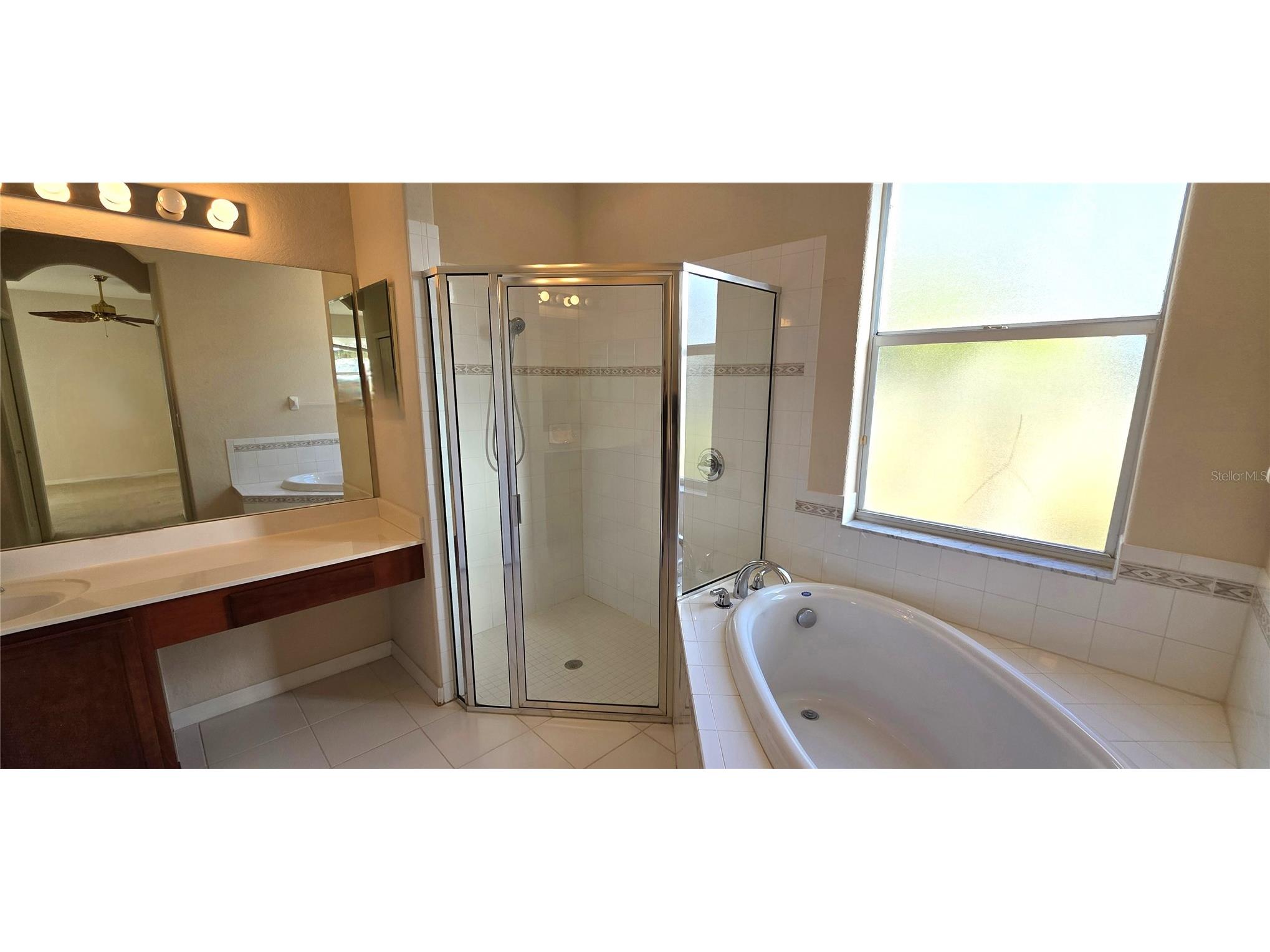 10906 Tree Cactus Loop Land O Lakes FL 34638 TB8493541 image36