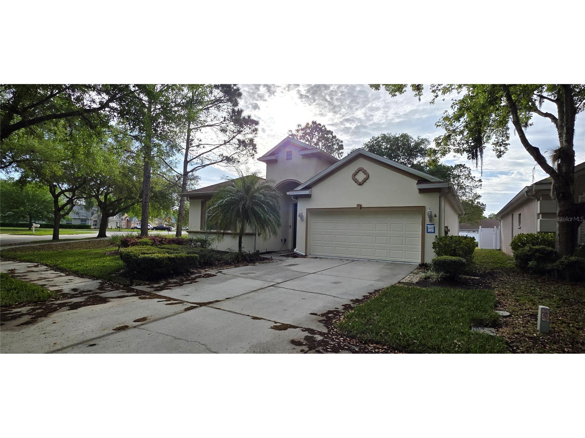 10906 Tree Cactus Loop Land O Lakes FL 34638 TB8493541 image4