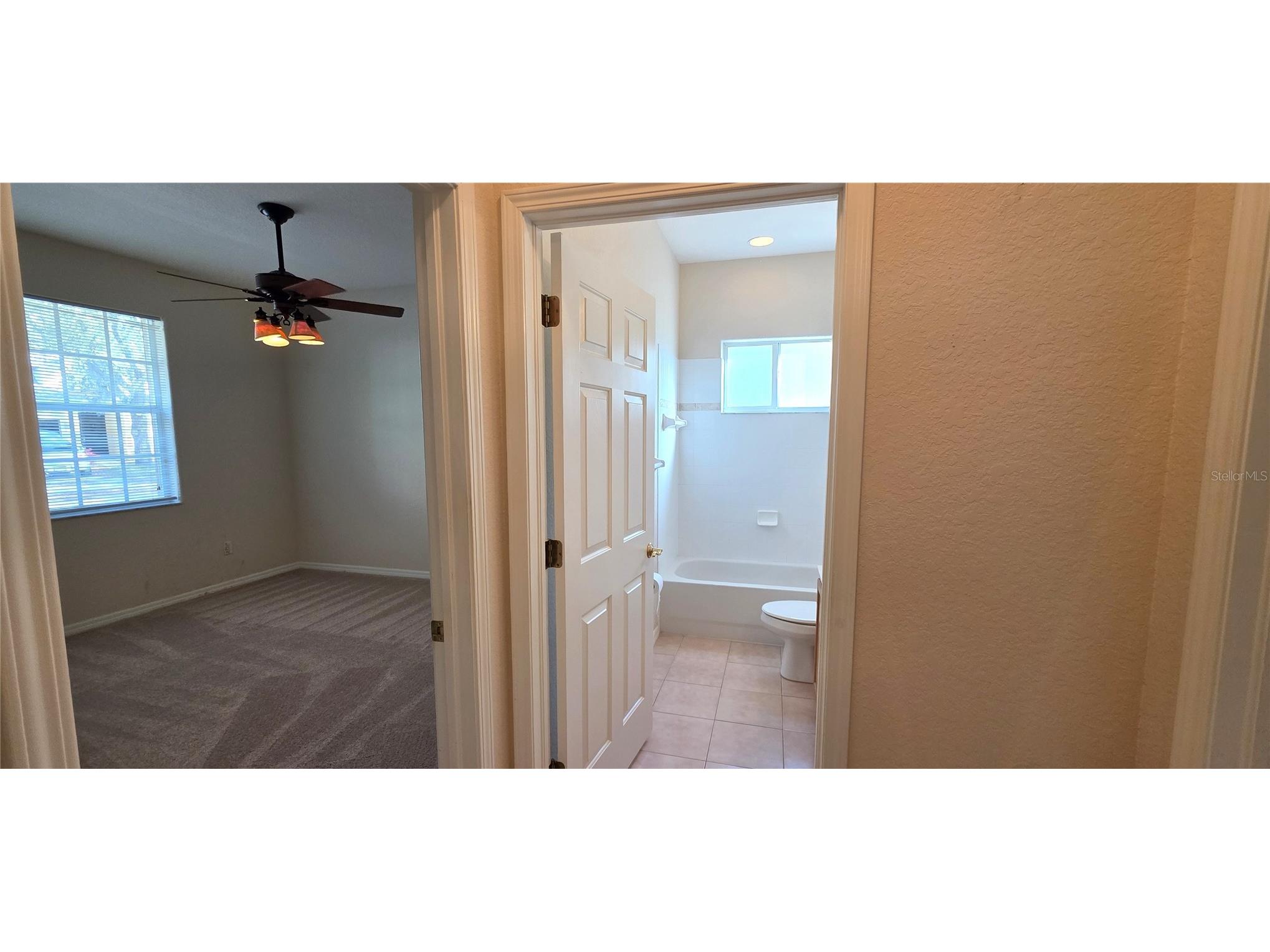 10906 Tree Cactus Loop Land O Lakes FL 34638 TB8493541 image46