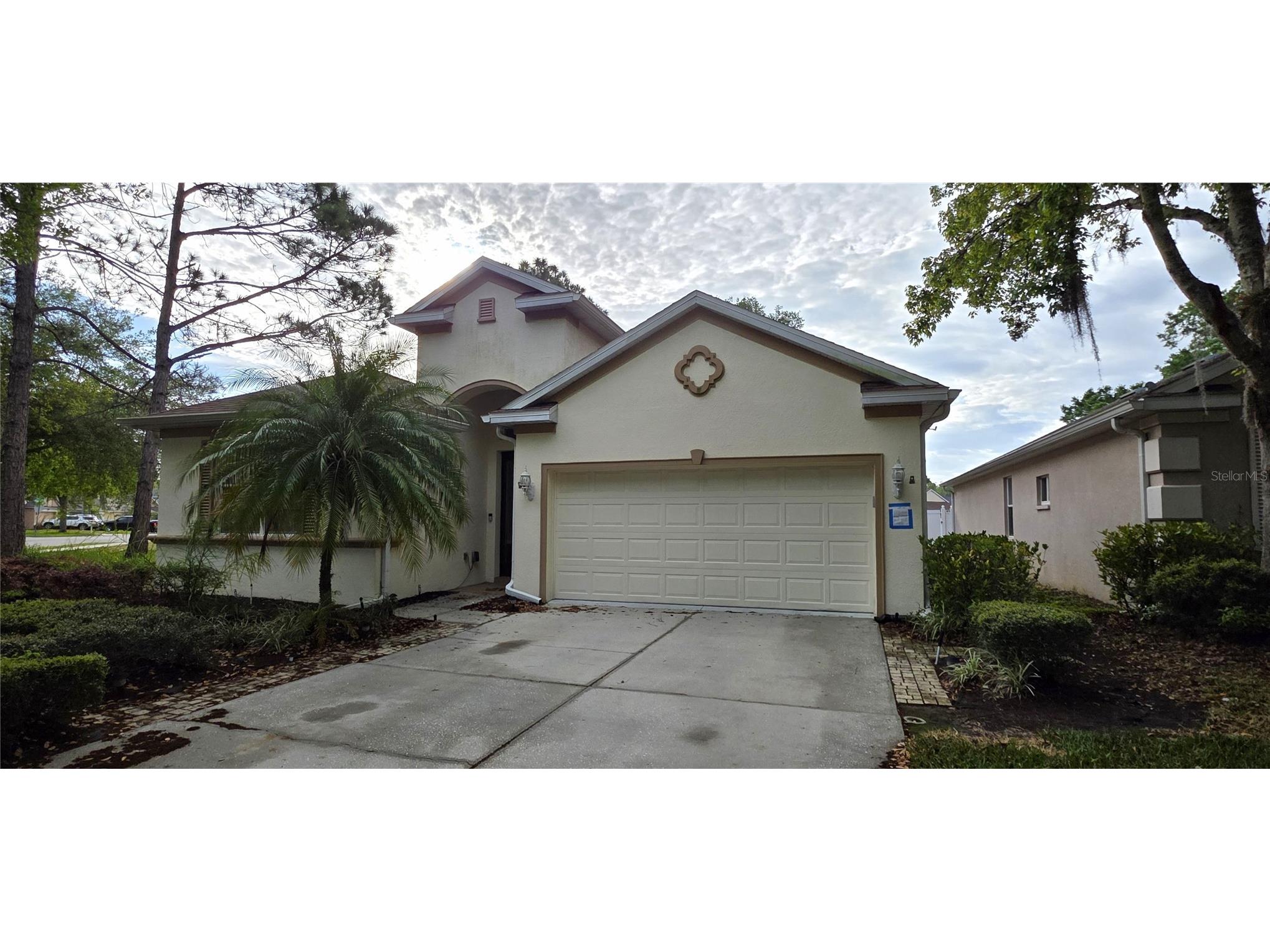 10906 Tree Cactus Loop Land O Lakes FL 34638 TB8493541 image5
