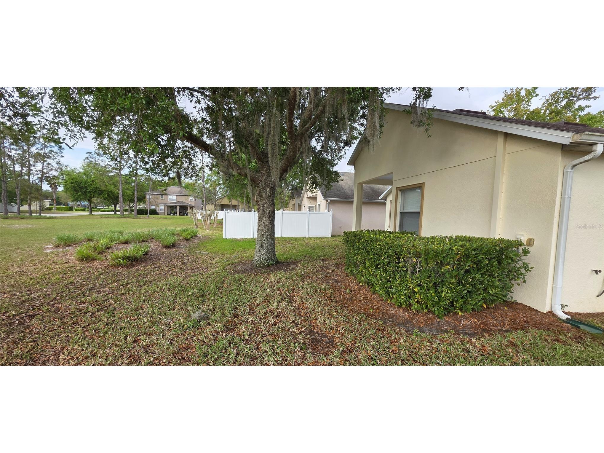 10906 Tree Cactus Loop Land O Lakes FL 34638 TB8493541 image55
