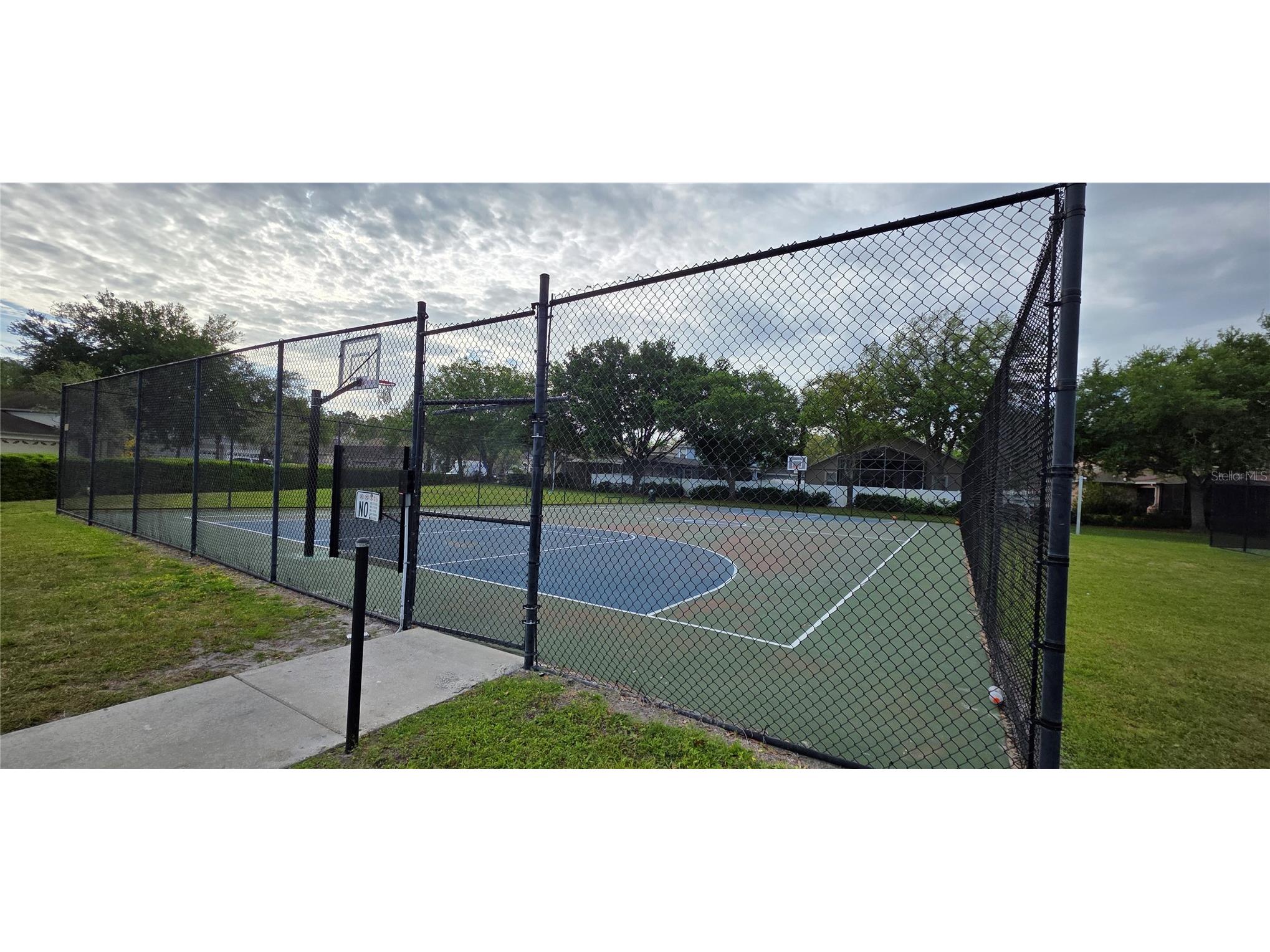 10906 Tree Cactus Loop Land O Lakes FL 34638 TB8493541 image59