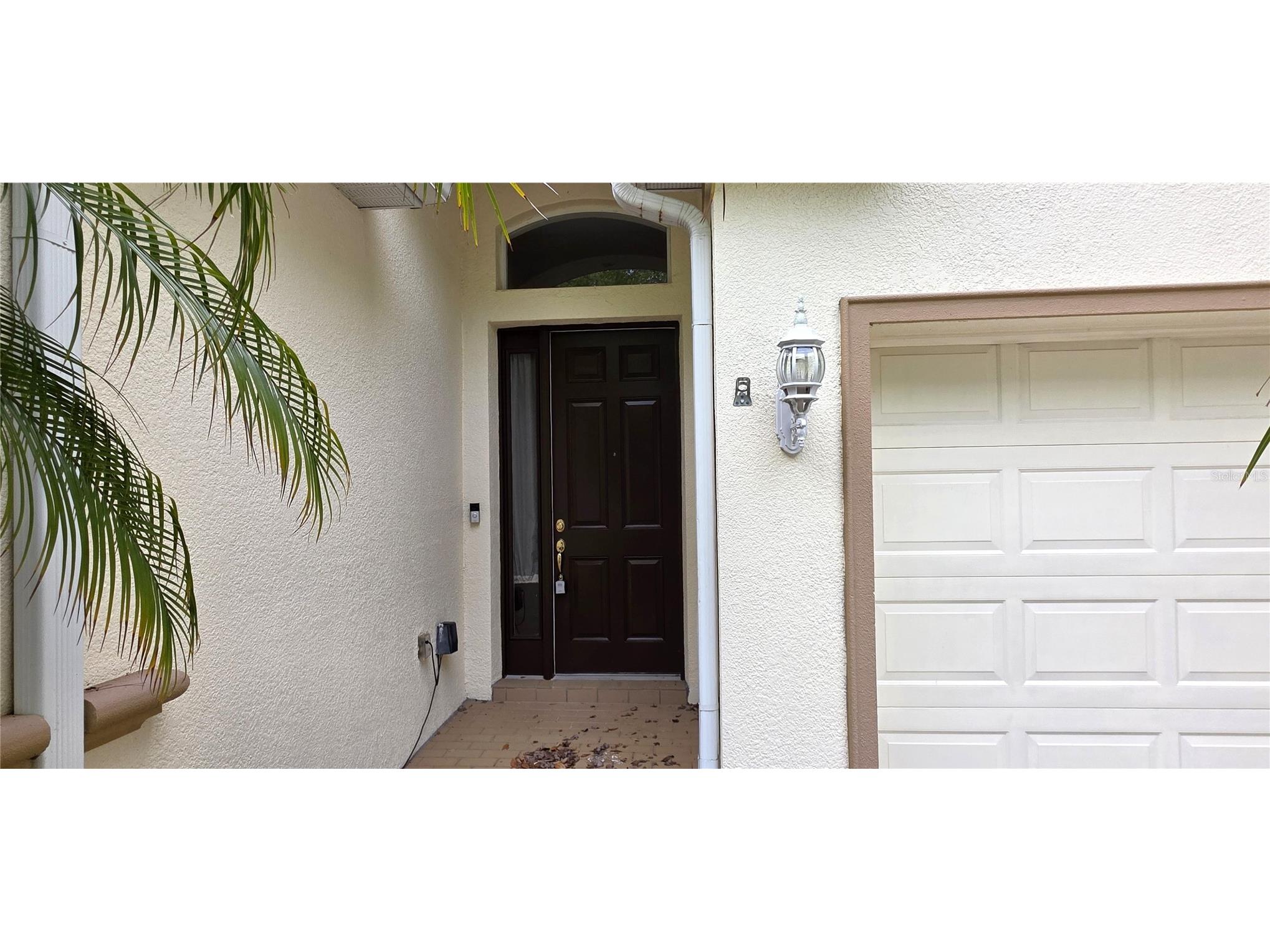 10906 Tree Cactus Loop Land O Lakes FL 34638 TB8493541 image6