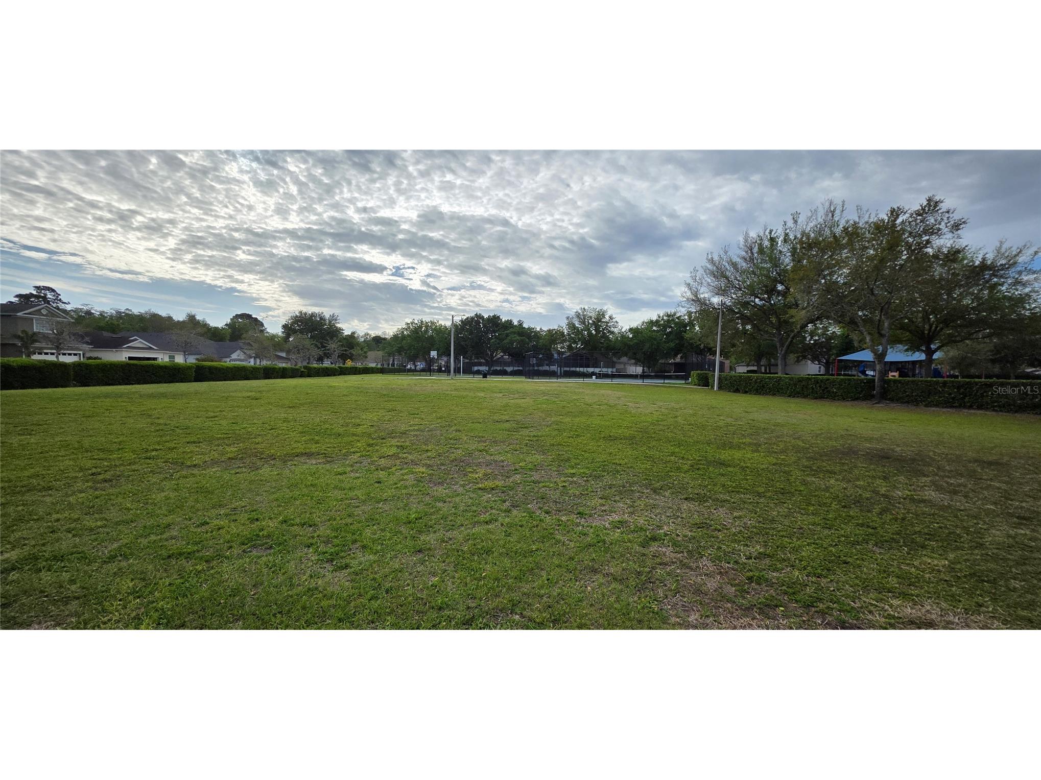 10906 Tree Cactus Loop Land O Lakes FL 34638 TB8493541 image61