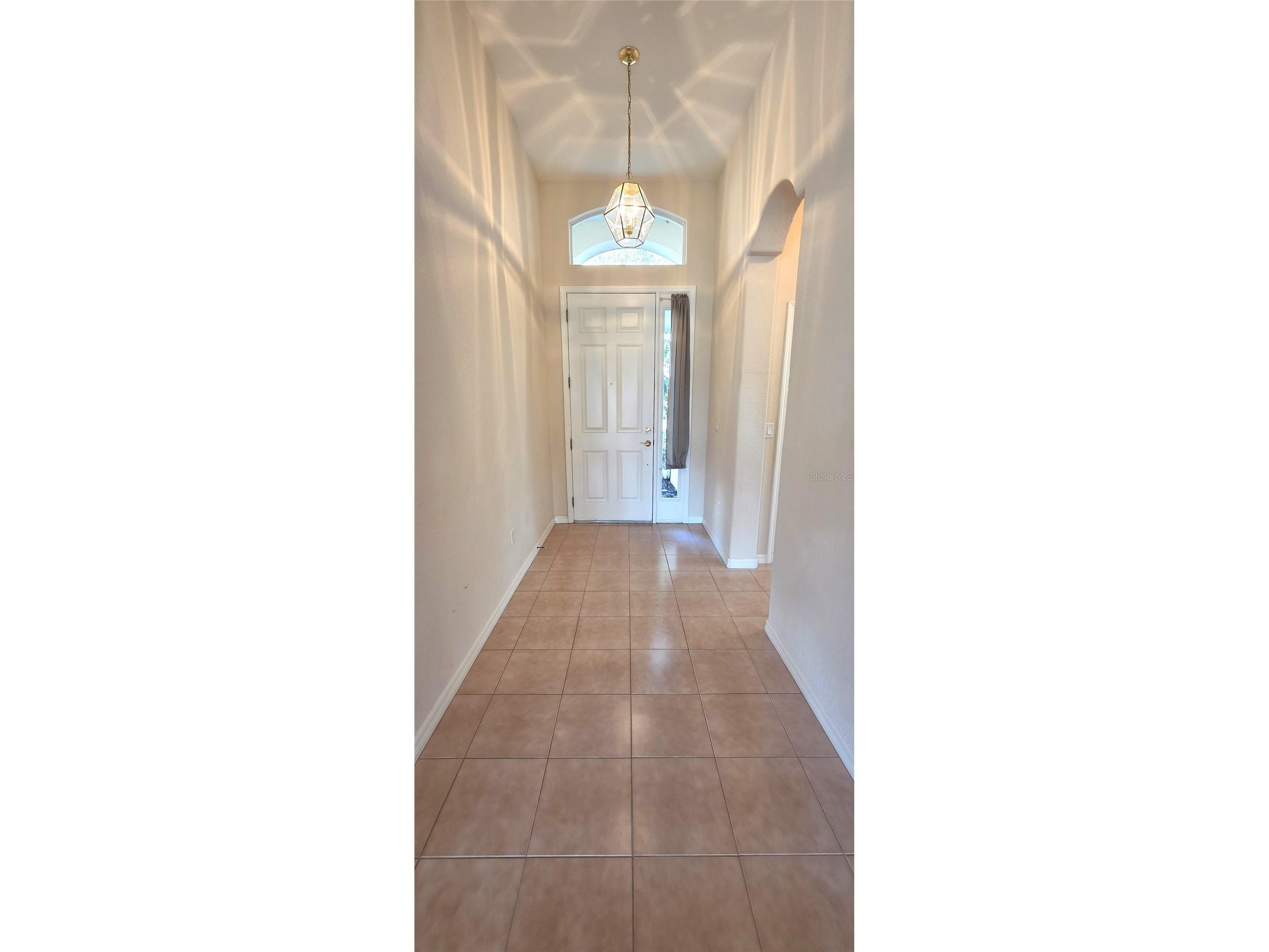 10906 Tree Cactus Loop Land O Lakes FL 34638 TB8493541 image7