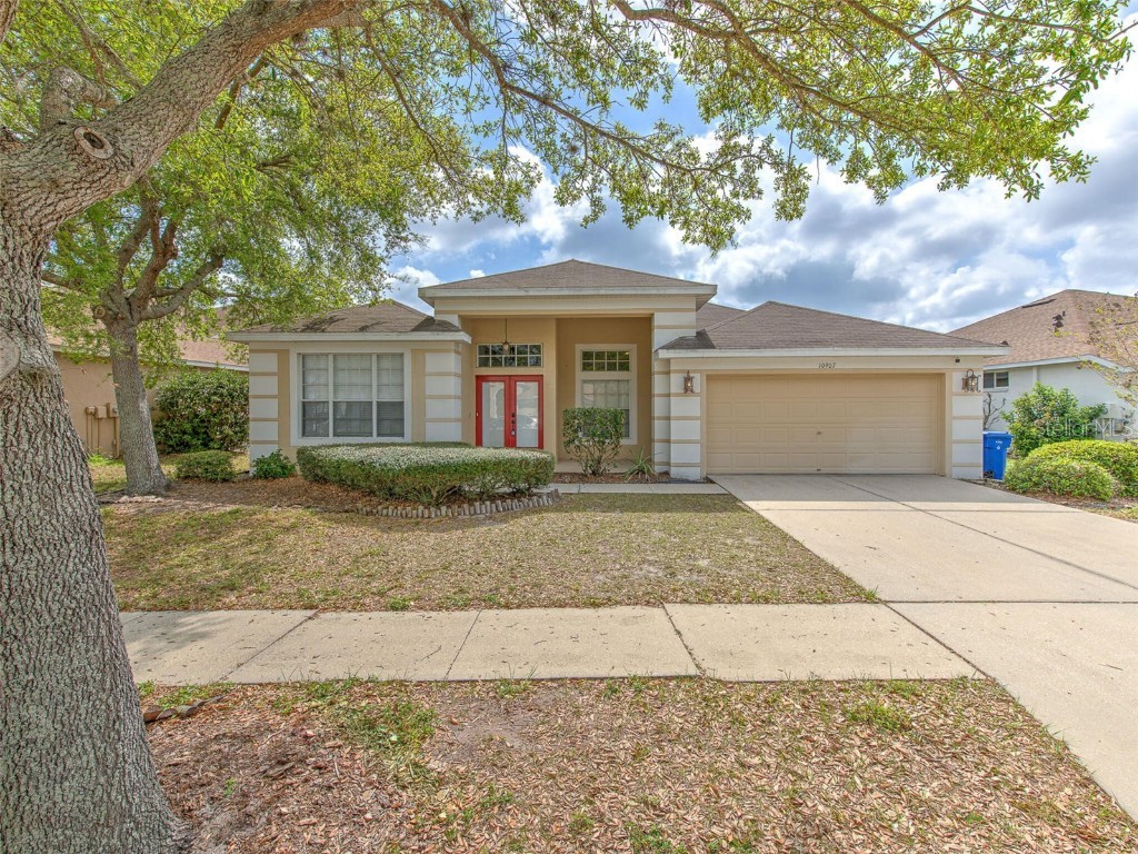 10907 Australian Pine Drive Riverview FL 33579 T3432871 image1