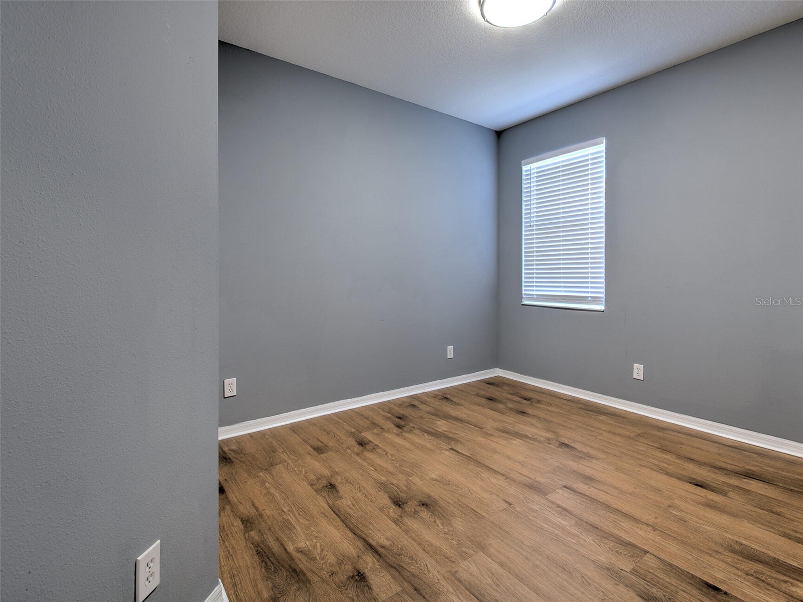 10907 Australian Pine Drive Riverview FL 33579 TB8524000 image26