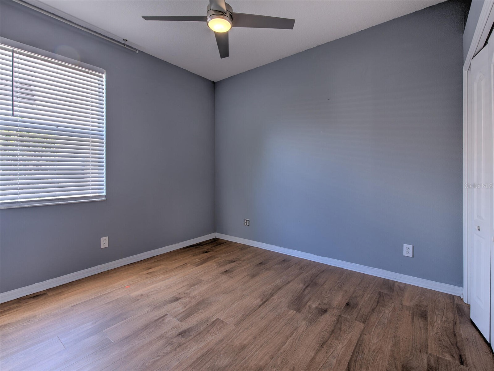 10907 Australian Pine Drive Riverview FL 33579 TB8524000 image29