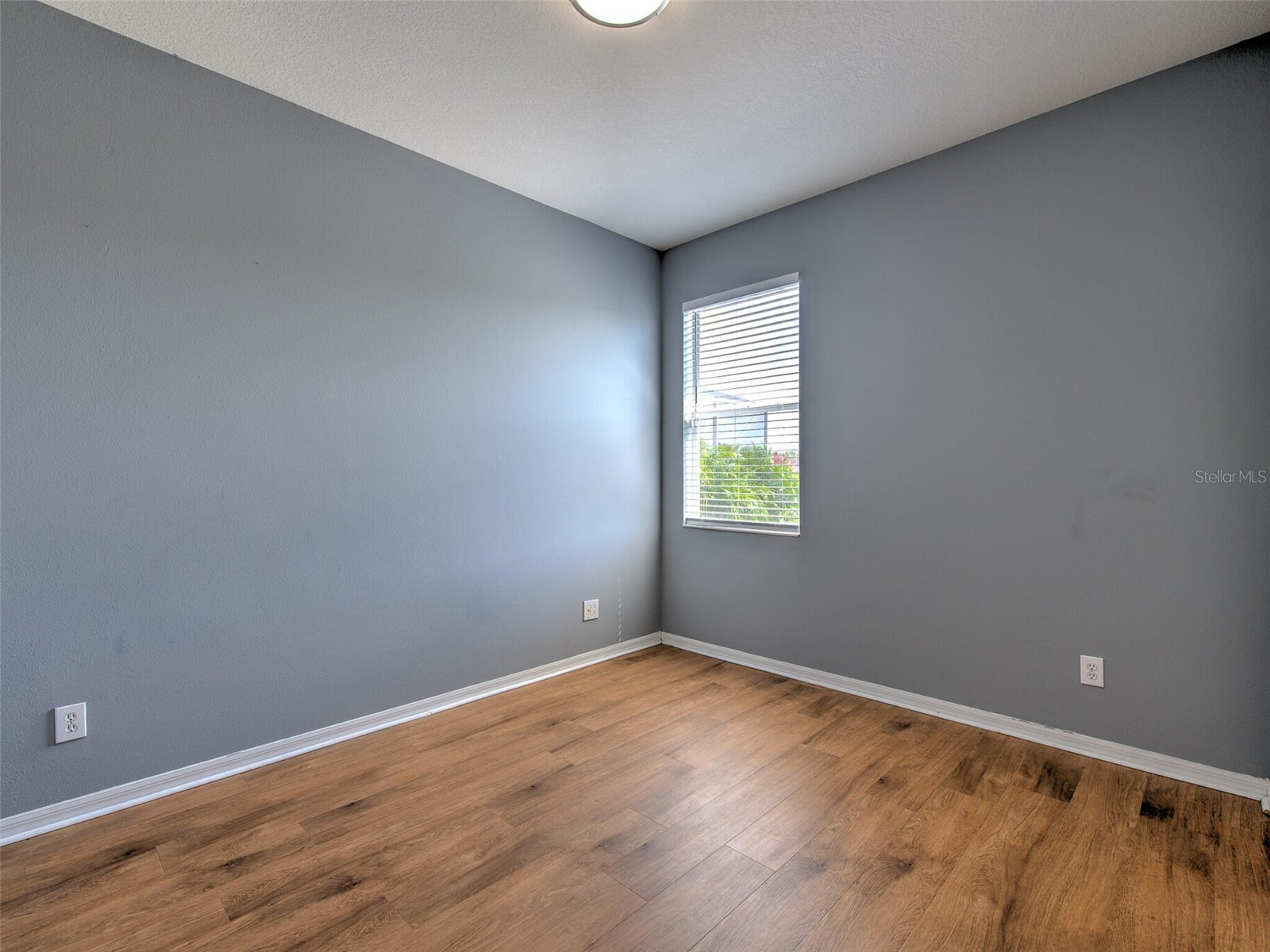 10907 Australian Pine Drive Riverview FL 33579 TB8524000 image31