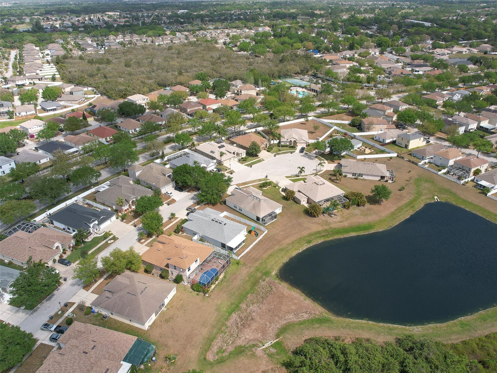 10907 Australian Pine Drive Riverview FL 33579 TB8524000 image49