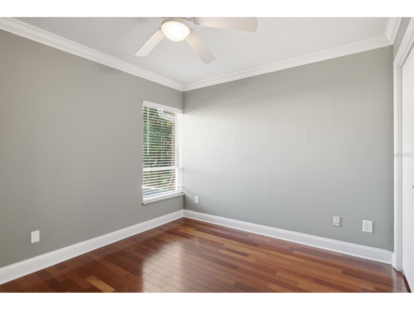 10907 Autumn Oak Place Tampa FL 33618 TB8522906 image29
