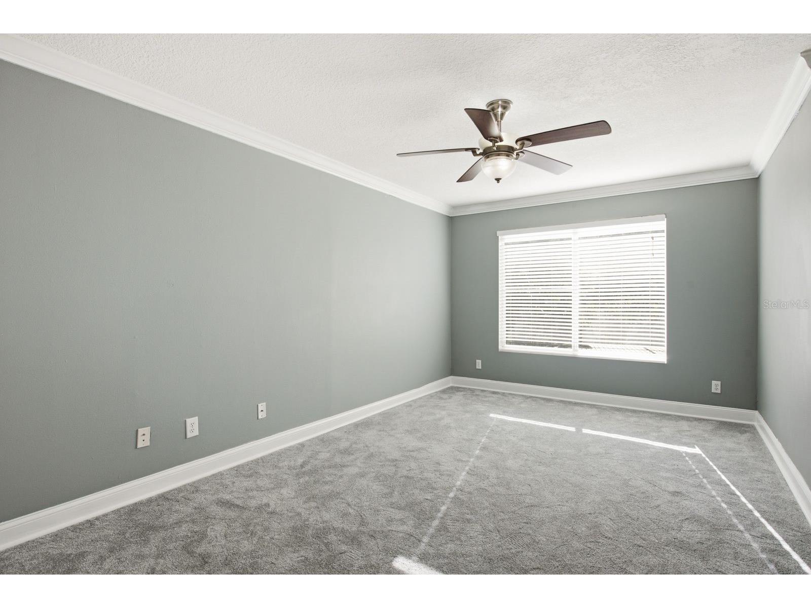 10907 Autumn Oak Place Tampa FL 33618 TB8522906 image32