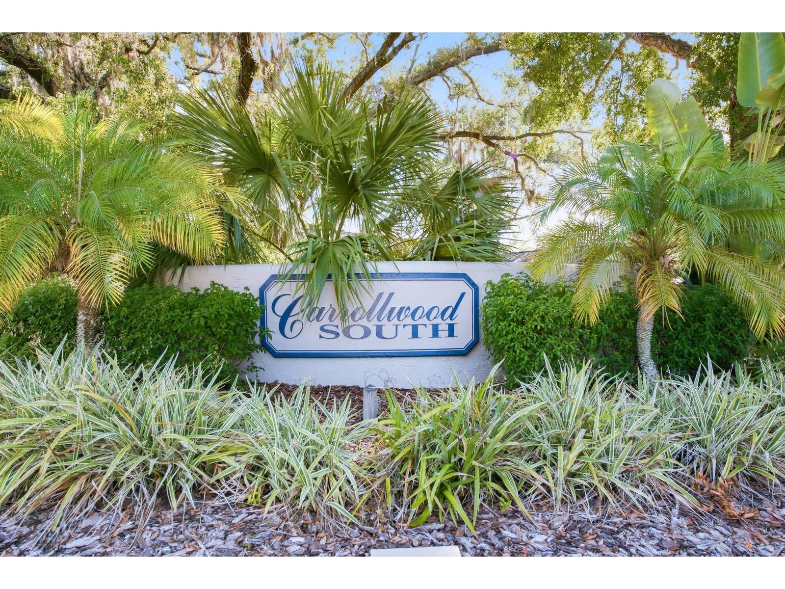 10907 Autumn Oak Place Tampa FL 33618 TB8522906 image46