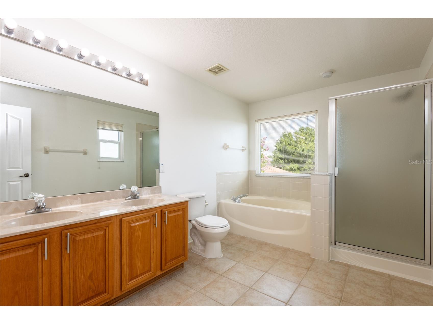 10907 Golden Silence Drive Riverview FL 33579 TB8527381 image13