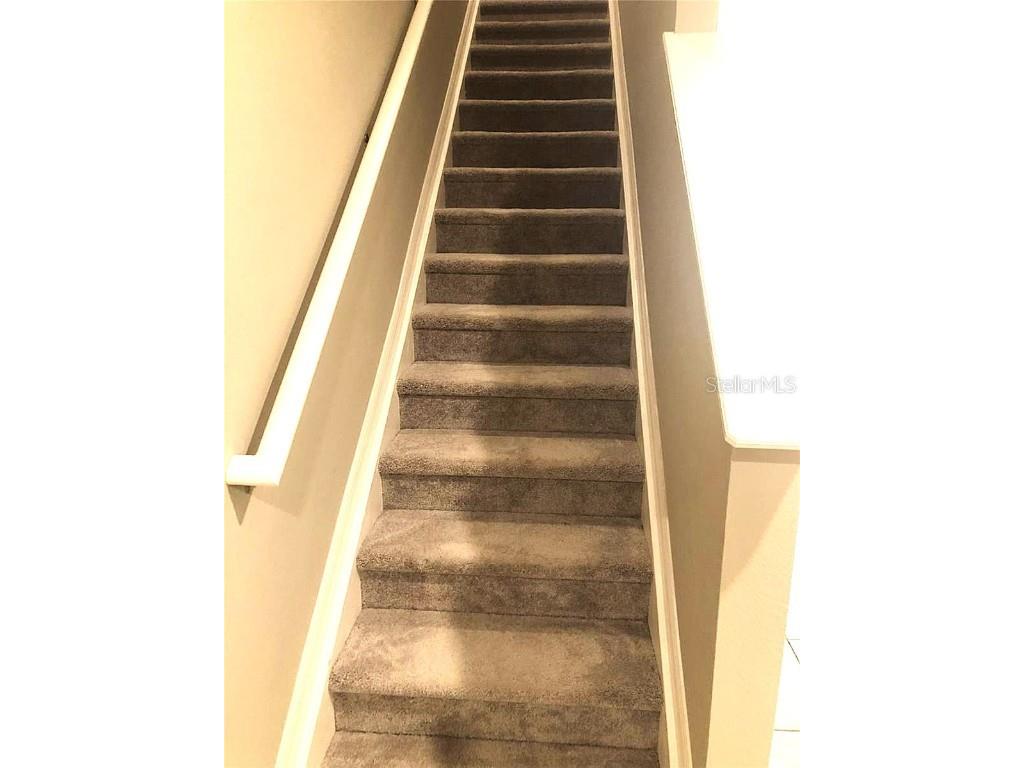 10908 Bluestem Grass Avenue Tampa FL 33610 TB8451950 image12