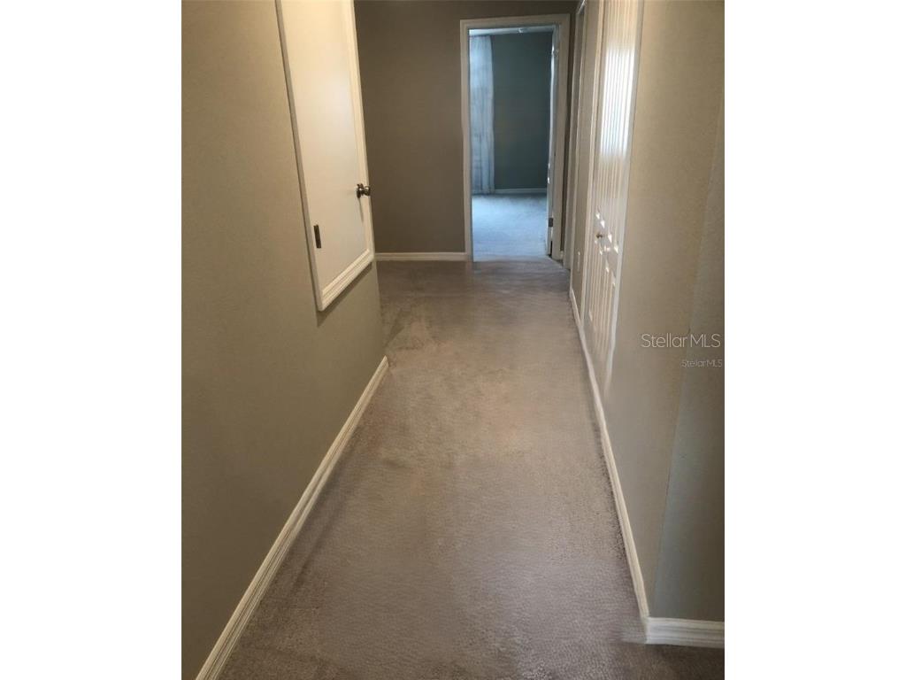 10908 Bluestem Grass Avenue Tampa FL 33610 TB8451950 image2