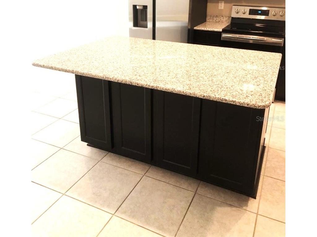 10908 Bluestem Grass Avenue Tampa FL 33610 TB8451950 image6