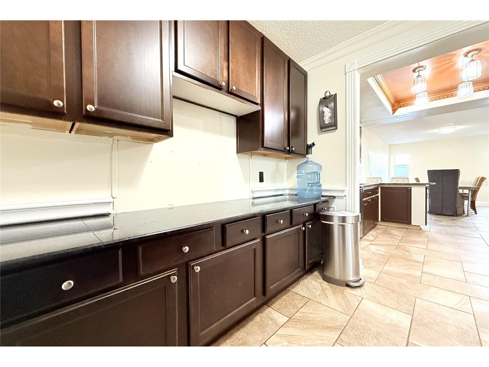 10908 Brightside Drive Tampa FL 33624 TB8463676 image23